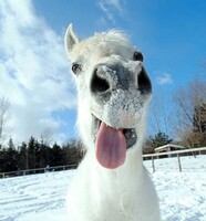 Vacances de février